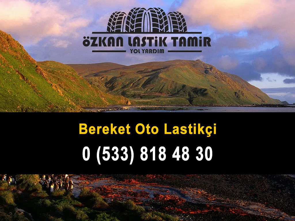 Bereket Oto Lastikçi
