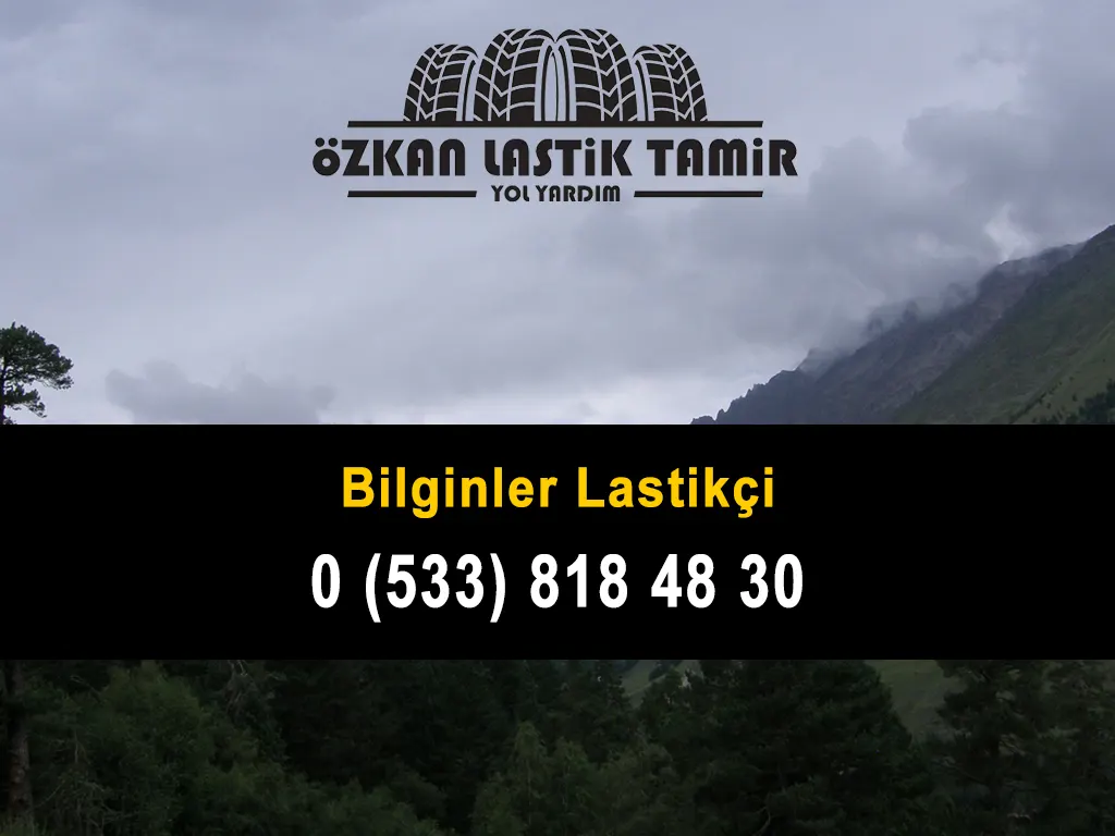 Bilginler Lastikçi