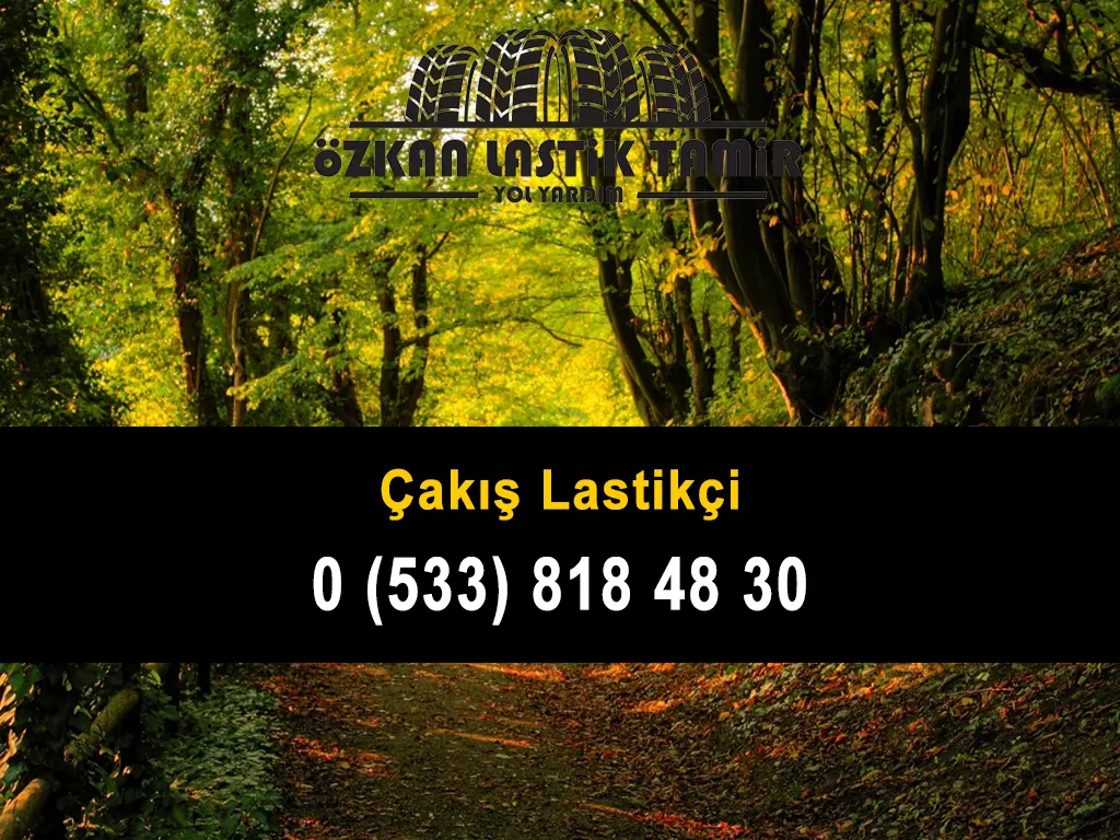 Çakış Lastikçi