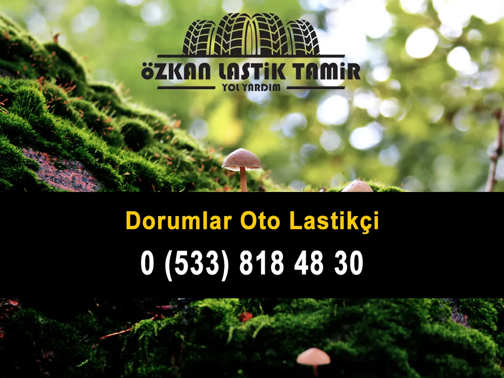 Dorumlar Oto Lastikçi