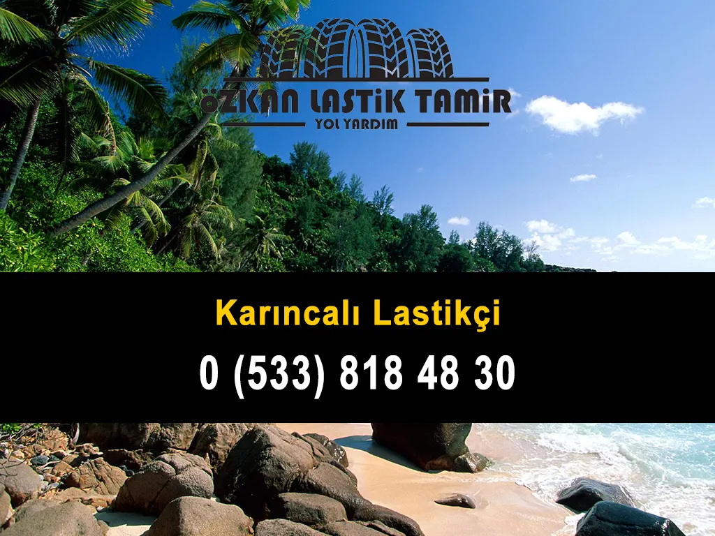 Karıncalı Lastikçi