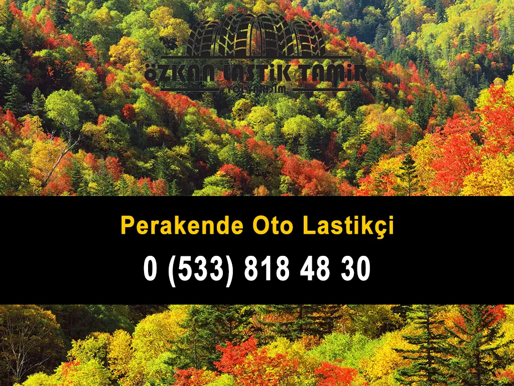Perakende Oto Lastikçi