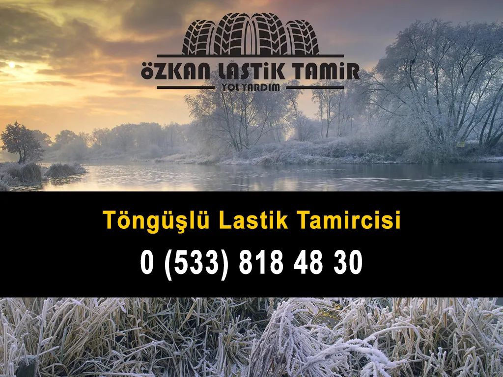 Töngüşlü Lastik Tamircisi
