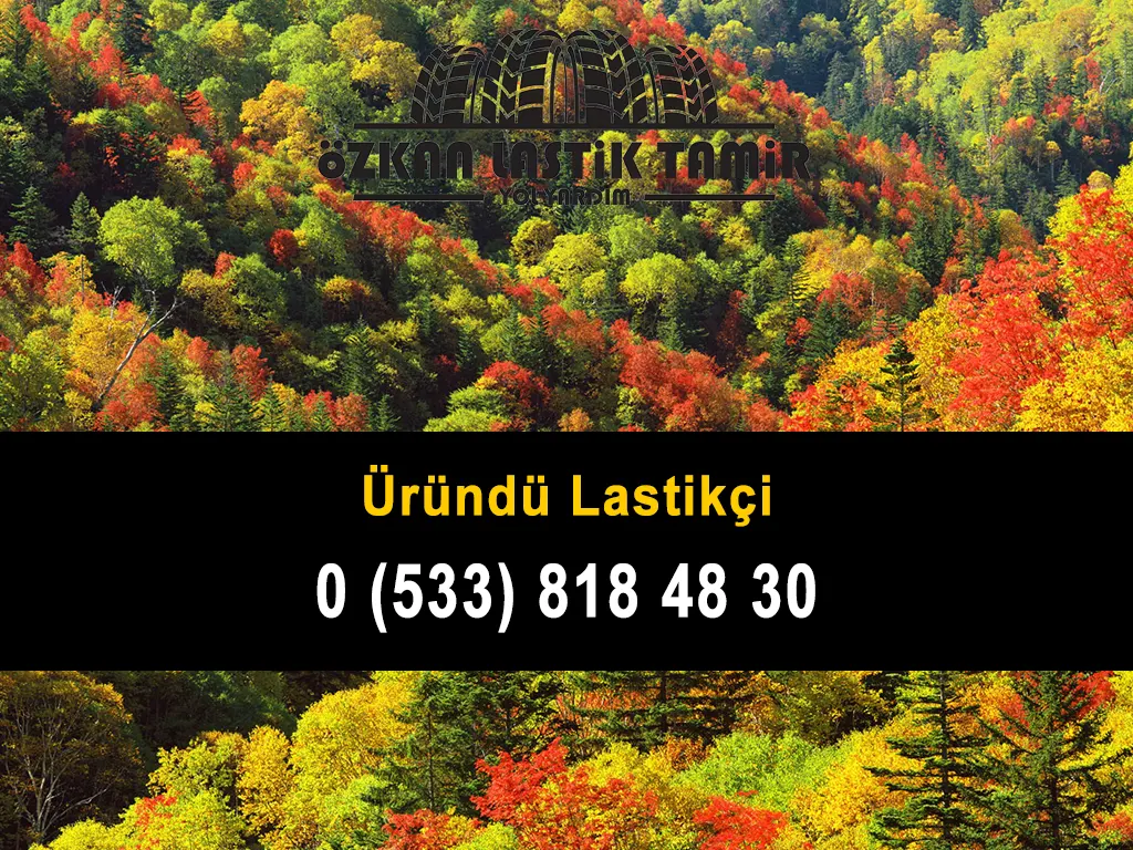 Üründü Lastikçi